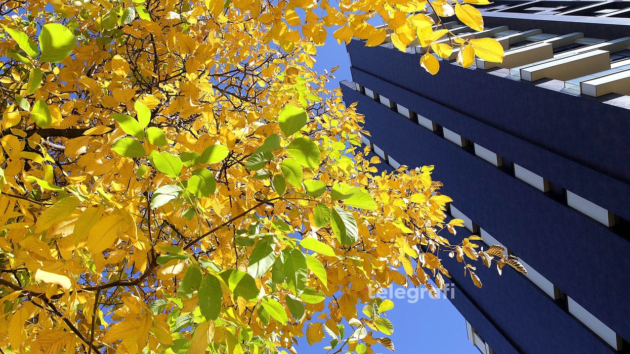 Mot i me diell dhe vranësira, temperaturat deri në 15 gradë