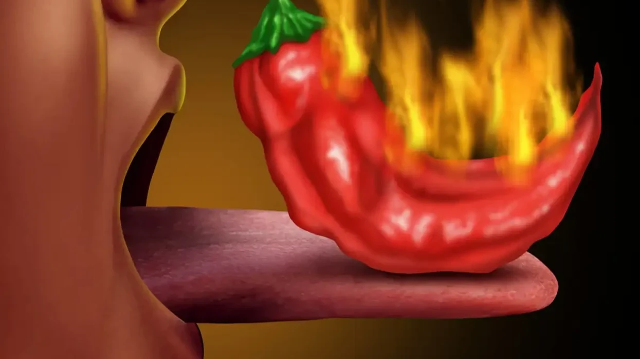 Kjo ‘gjuhë’ artificiale ju tregon se sa pikant është ushqimi përpara se ta hani