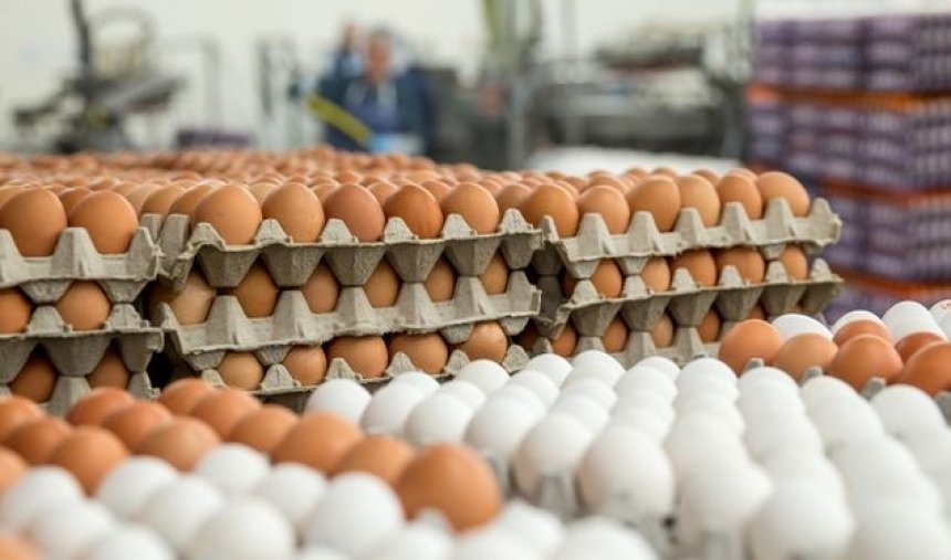 Rriten çmimet e vezëve, reagojnë qytetarët