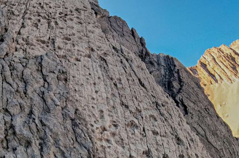 Zbulohen gjurmë dinozaurësh 210 milionë vjeçare në veri të Italisë