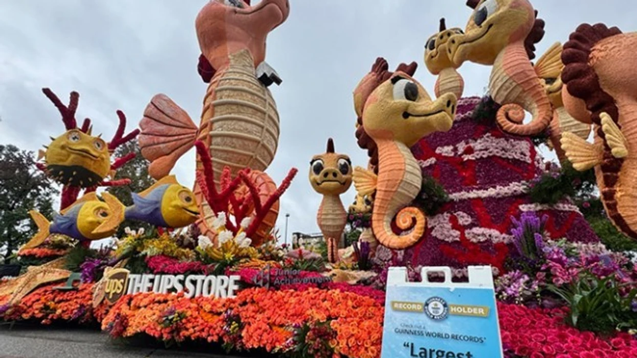 Kali gjigant animatronik hyn në Librin e Rekordeve Botërore