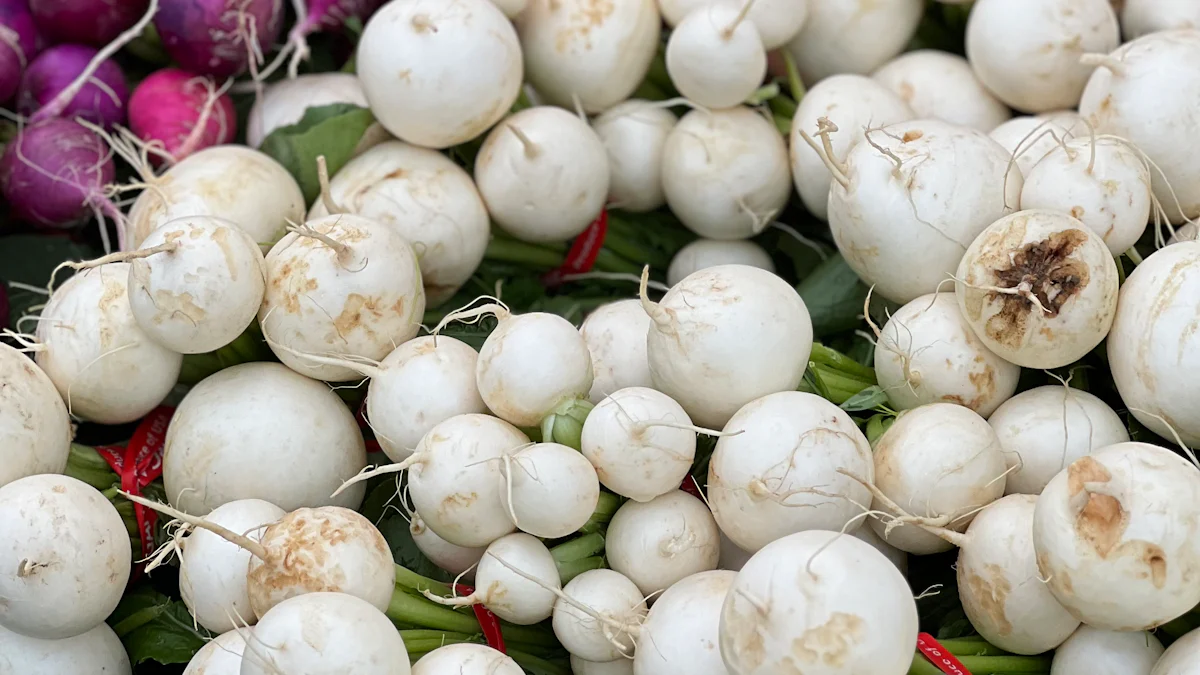 Këto janë përfitimet e rrepës së bardhë për shëndetin