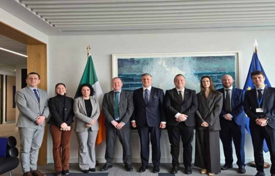 Kosova dhe Irlanda forcojnë bashkëpunimin politik para Presidencës irlandeze të BE-së