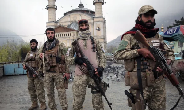 Pakistani akuzohet për sulmin ndaj universitetit afgan