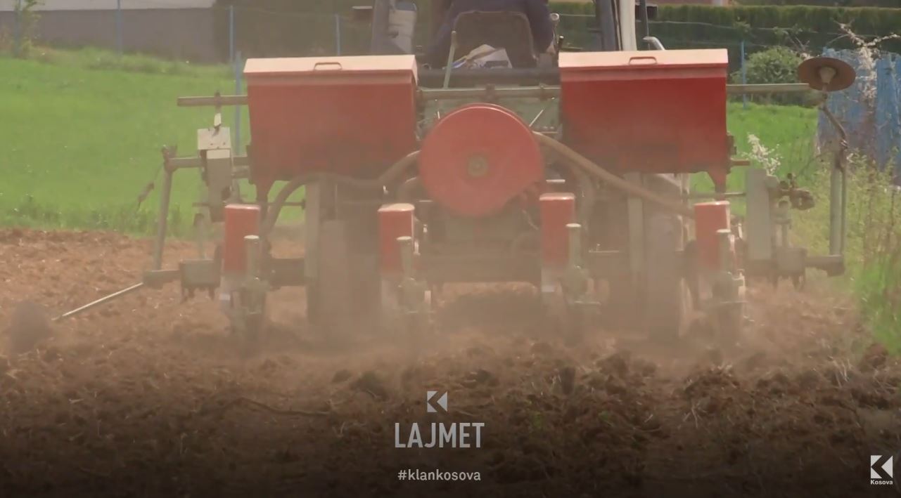 Subvencionet e bujqve: Iu premtuan 7 milionë, s’morën asnjë cent (VIDEO)