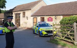 Britani: Fëmija bie në kafaz krokodilësh, arrestohet një burrë