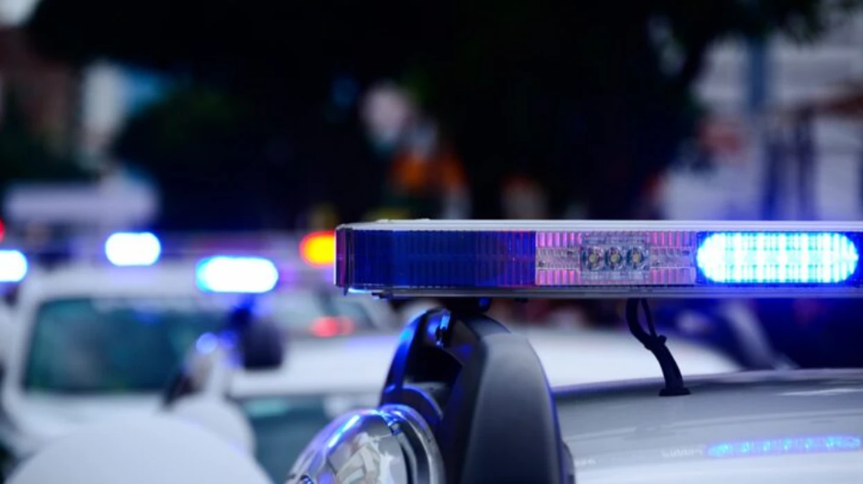 Privohen nga liria tre persona në Shkup, policia sekuestron marihuanë dhe lëndë të tjera pluhurore