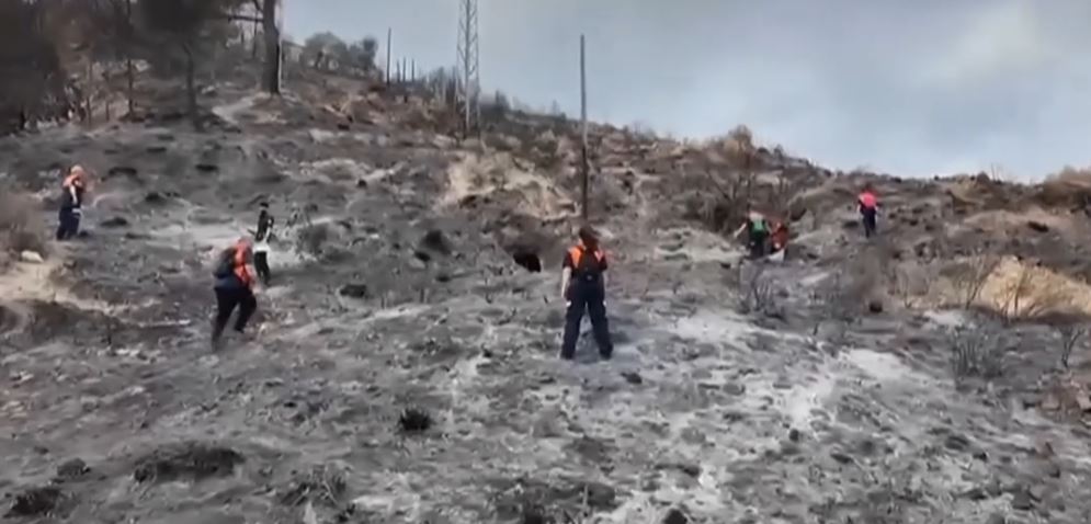 Pamje apokaliptike nga Spanja, pasojat e zjarrit që la 12 të vdekur e shkrumboi zona të tëra
