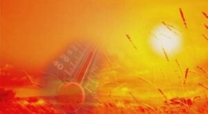 “Përvëlohet” Shqipëria, temperatura deri në 40 gradë Celcius
