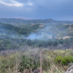 Zjarr në kodrat e Peshtanit, zjarrfikësit shmangin përhapjen
