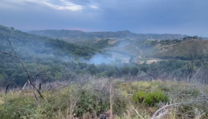 Zjarr në kodrat e Peshtanit, zjarrfikësit shmangin përhapjen